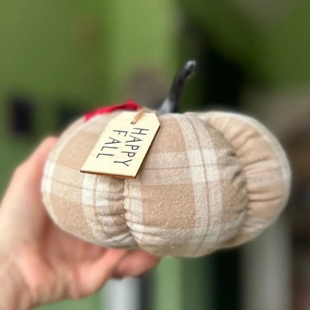 Plush Cream Plaid Red Maple Leaf Accented Pumpkin Fall Home Accent